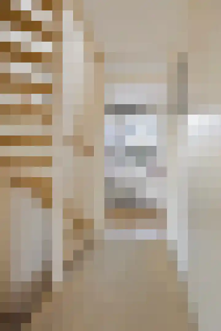 Adelaarsvaren 69 Bergschenhoek thumbnail 14