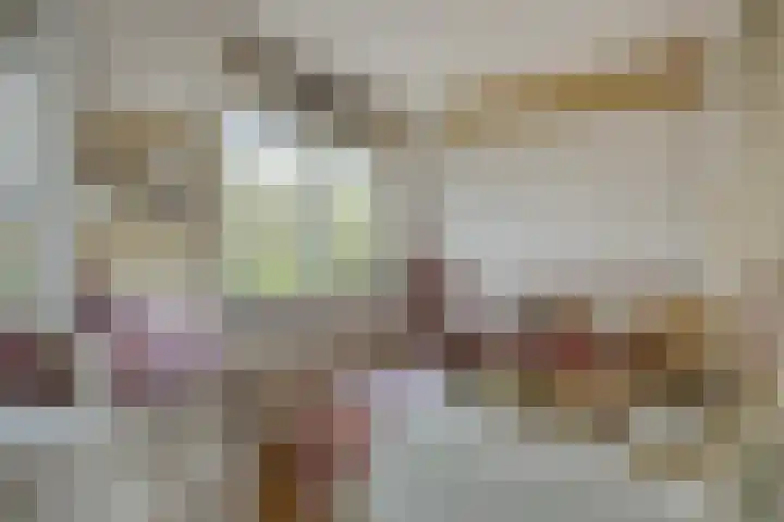 Adelaarsvaren 69 Bergschenhoek thumbnail 15