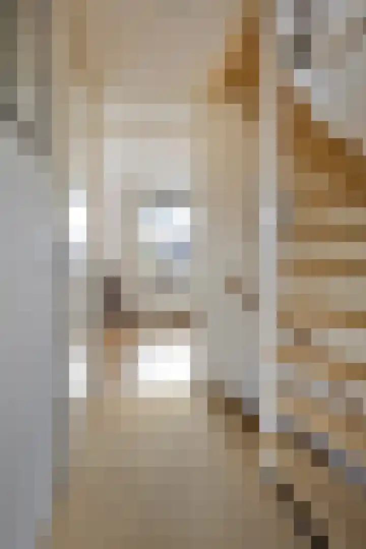 Adelaarsvaren 69 Bergschenhoek thumbnail 17