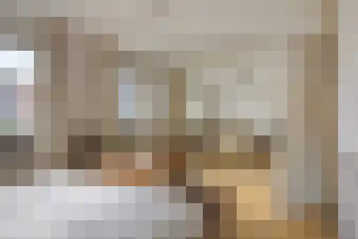 Adelaarsvaren 69 Bergschenhoek thumbnail 19