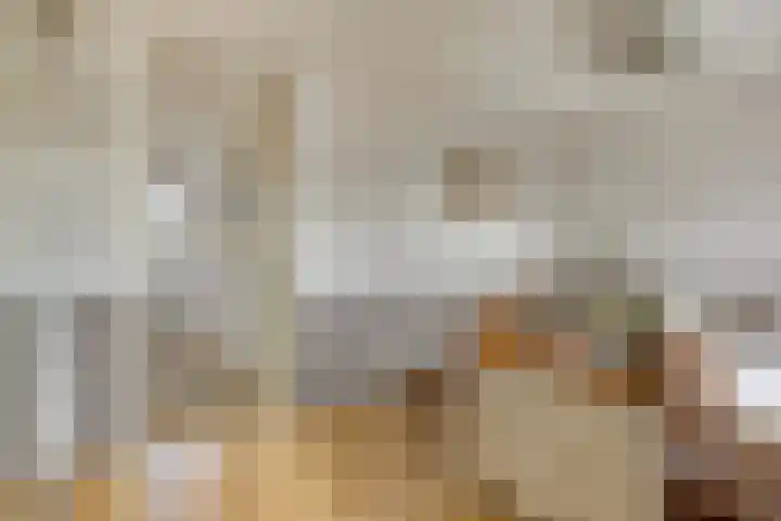 Adelaarsvaren 69 Bergschenhoek thumbnail 20