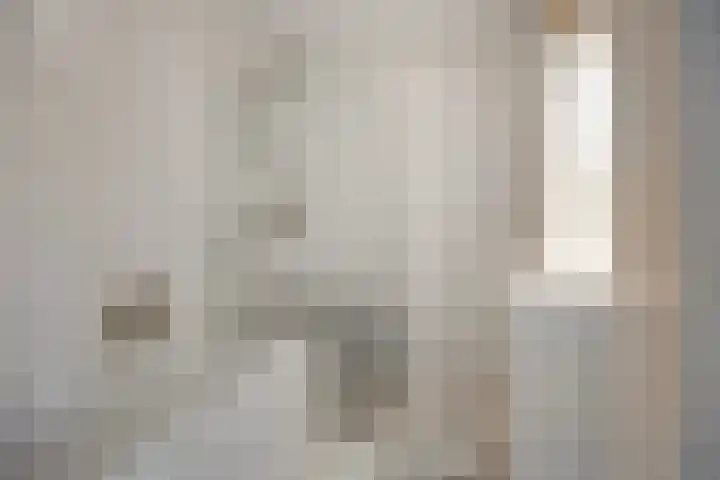 Adelaarsvaren 69 Bergschenhoek thumbnail 21