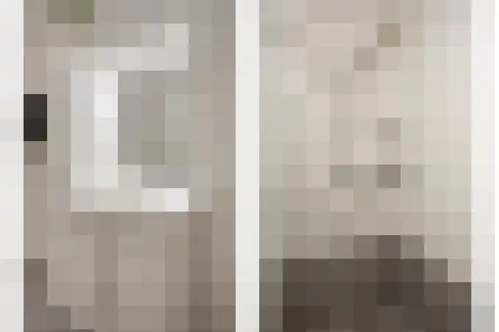 Adelaarsvaren 69 Bergschenhoek thumbnail 22