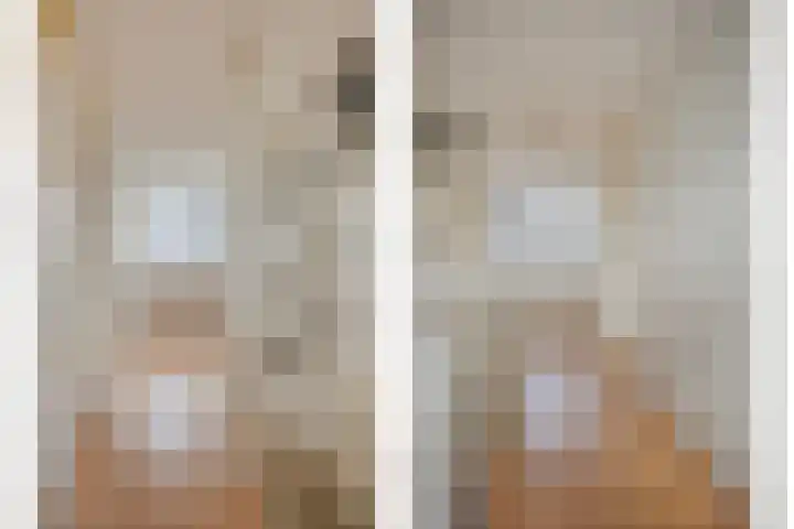 Adelaarsvaren 69 Bergschenhoek thumbnail 23