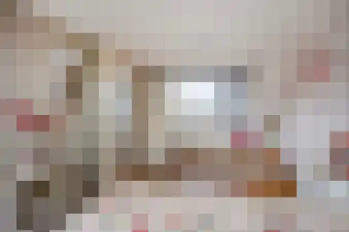 Adelaarsvaren 69 Bergschenhoek thumbnail 24