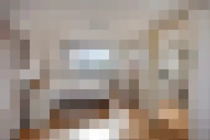 Adelaarsvaren 69 Bergschenhoek thumbnail 25