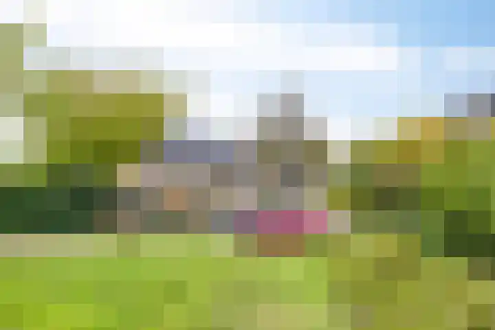 Adelaarsvaren 69 Bergschenhoek thumbnail 26