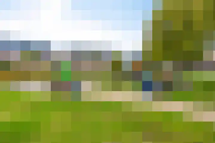 Adelaarsvaren 69 Bergschenhoek thumbnail 27
