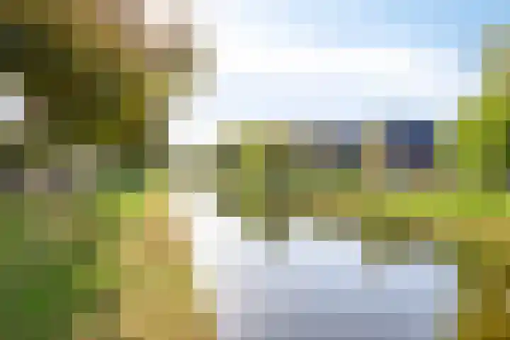 Adelaarsvaren 69 Bergschenhoek thumbnail 28