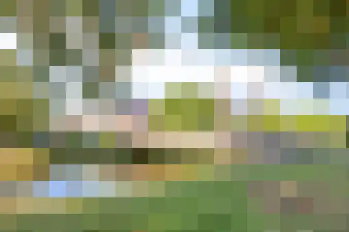 Adelaarsvaren 69 Bergschenhoek thumbnail 29