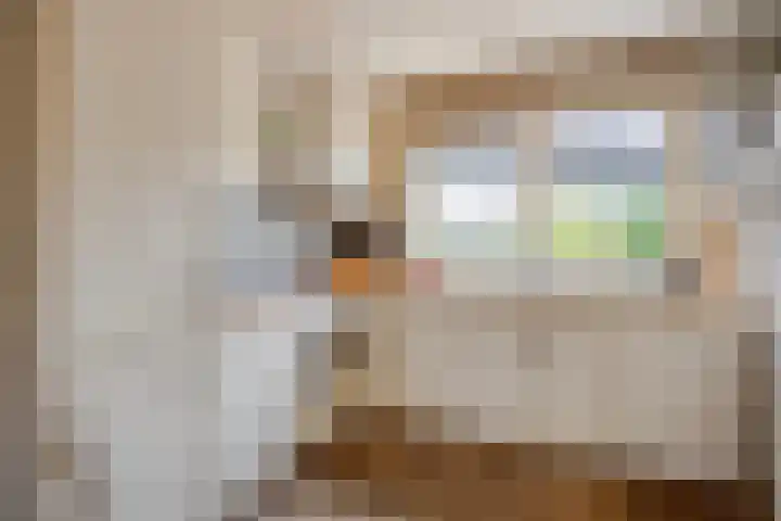 Adelaarsvaren 69 Bergschenhoek thumbnail 7