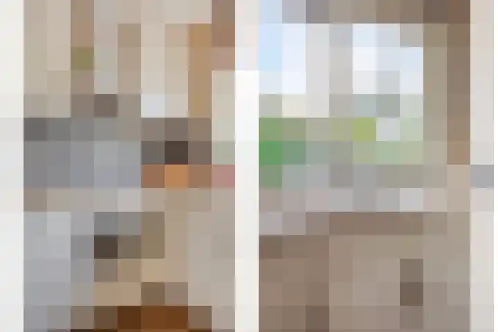 Adelaarsvaren 69 Bergschenhoek thumbnail 8