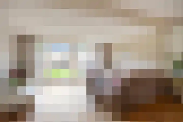 Adelaarsvaren 69 Bergschenhoek thumbnail 9