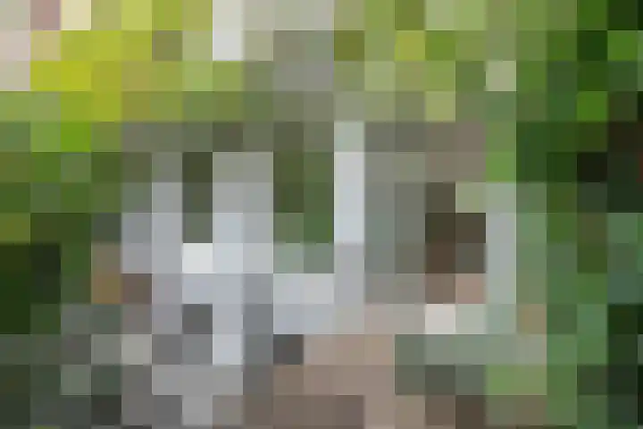 Adelaarsweg 14 Amsterdam thumbnail 10