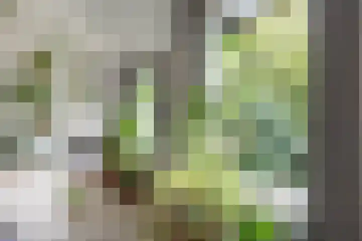 Adelaarsweg 14 Amsterdam thumbnail 11