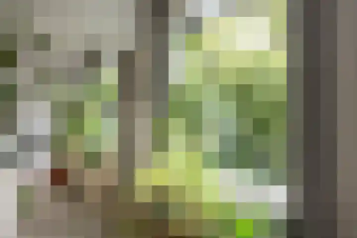 Adelaarsweg 14 Amsterdam thumbnail 12