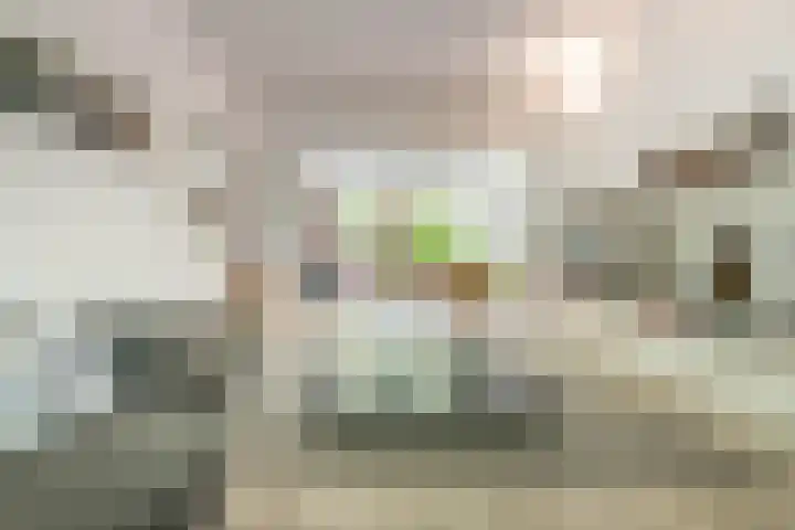 Adelaarsweg 14 Amsterdam thumbnail 13