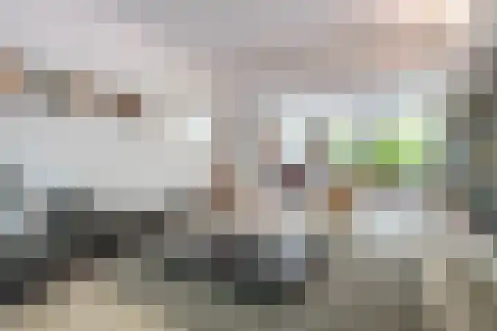 Adelaarsweg 14 Amsterdam thumbnail 17