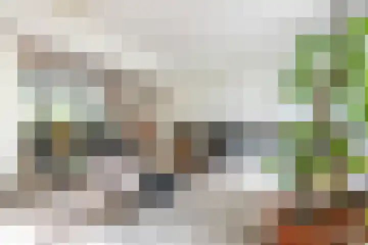 Adelaarsweg 14 Amsterdam thumbnail 18