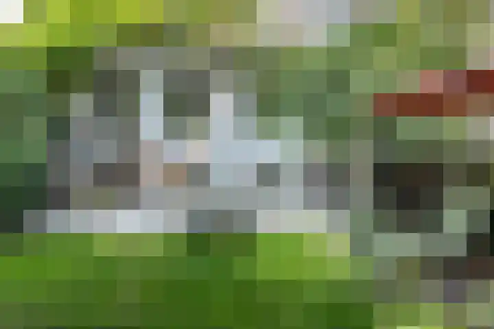 Adelaarsweg 14 Amsterdam thumbnail 19