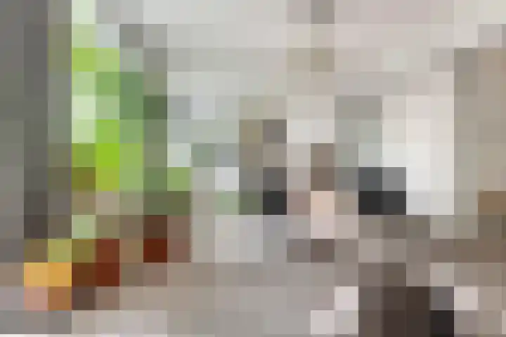 Adelaarsweg 14 Amsterdam thumbnail 20