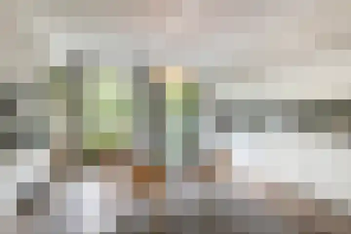 Adelaarsweg 14 Amsterdam thumbnail 21