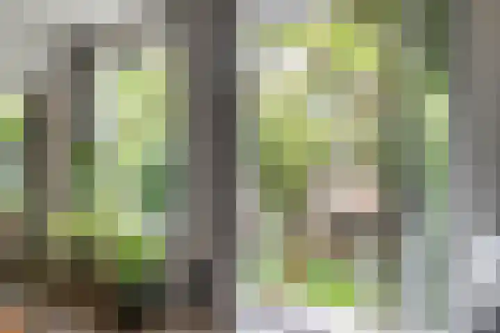 Adelaarsweg 14 Amsterdam thumbnail 22