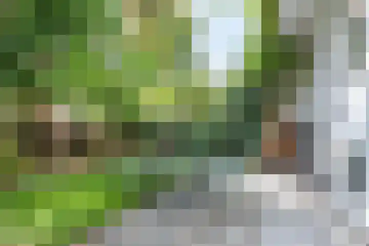 Adelaarsweg 14 Amsterdam thumbnail 23