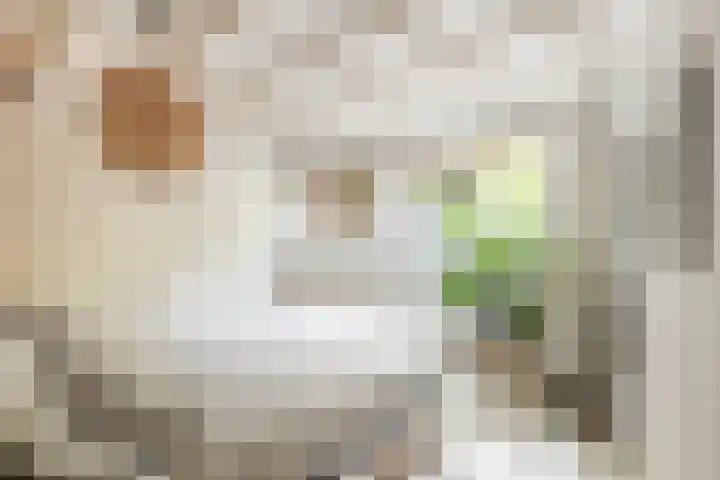 Adelaarsweg 14 Amsterdam thumbnail 31