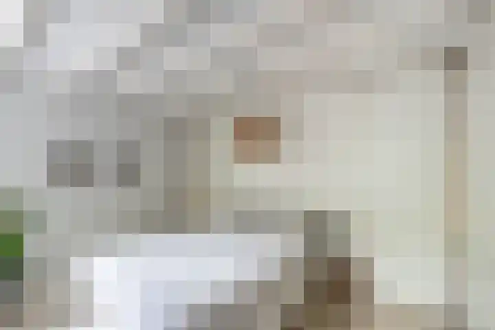 Adelaarsweg 14 Amsterdam thumbnail 32