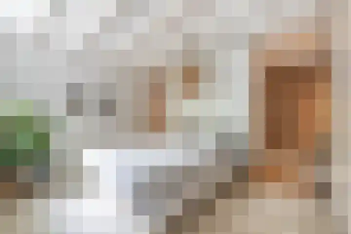 Adelaarsweg 14 Amsterdam thumbnail 33