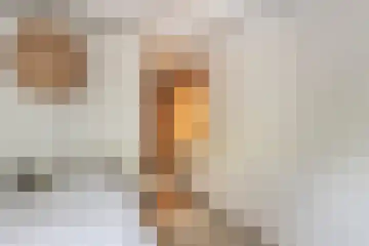 Adelaarsweg 14 Amsterdam thumbnail 34