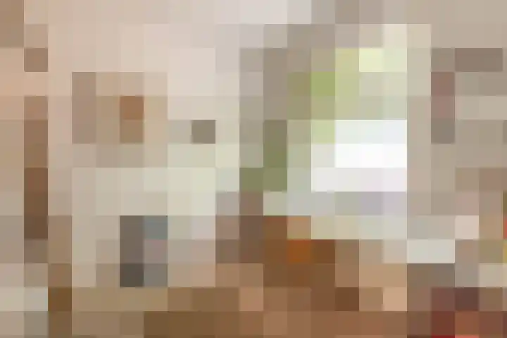Adelaarsweg 14 Amsterdam thumbnail 35