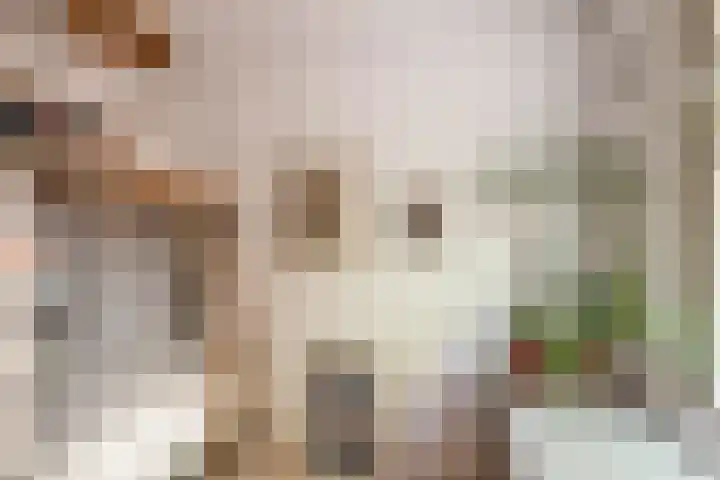Adelaarsweg 14 Amsterdam thumbnail 36