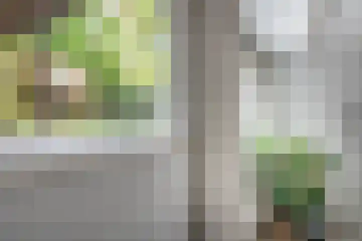 Adelaarsweg 14 Amsterdam thumbnail 38