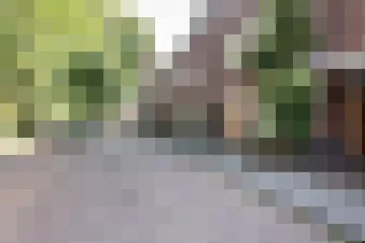 Adelaarsweg 14 Amsterdam thumbnail 4