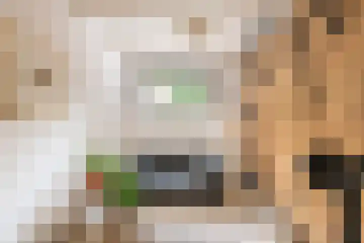 Adelaarsweg 14 Amsterdam thumbnail 43