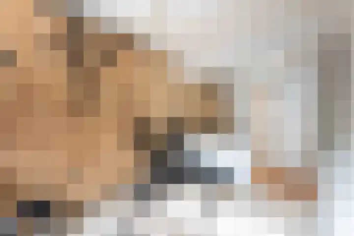 Adelaarsweg 14 Amsterdam thumbnail 44