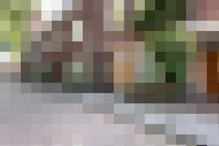 Adelaarsweg 14 Amsterdam thumbnail 47