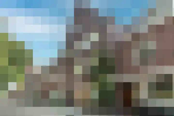 Adelaarsweg 14 Amsterdam thumbnail 48