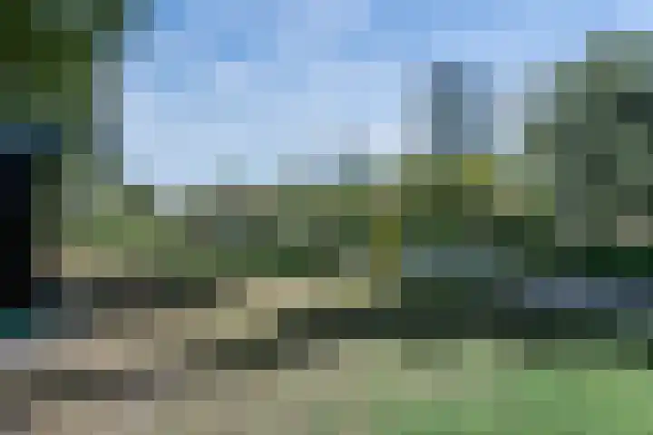 Adelaarsweg 14 Amsterdam thumbnail 49