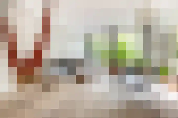 Adelaarsweg 14 Amsterdam thumbnail 5