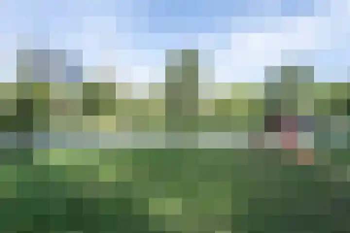 Adelaarsweg 14 Amsterdam thumbnail 50