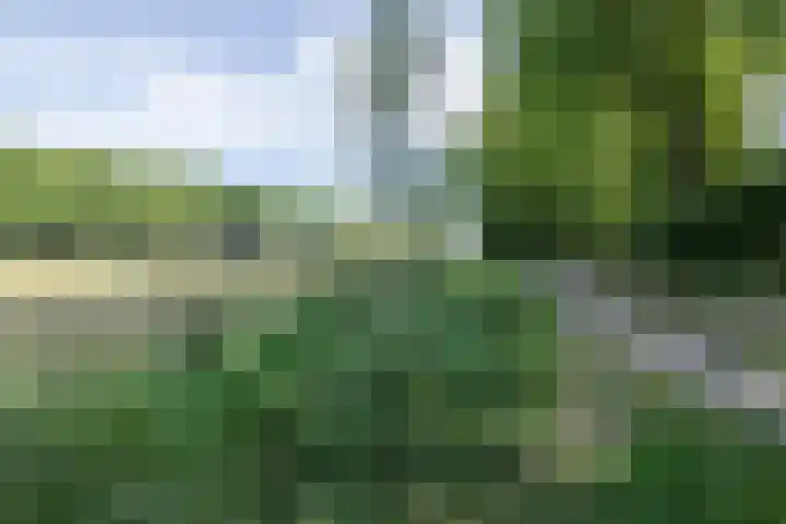 Adelaarsweg 14 Amsterdam thumbnail 51
