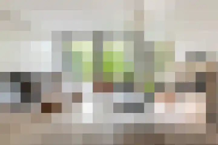 Adelaarsweg 14 Amsterdam thumbnail 6