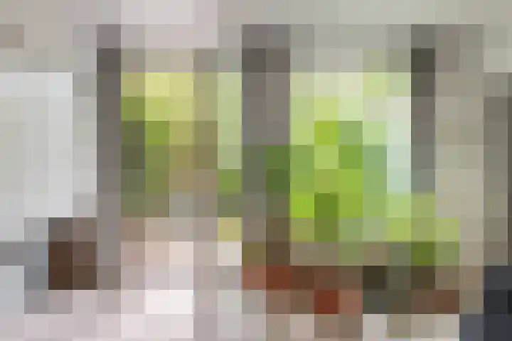 Adelaarsweg 14 Amsterdam thumbnail 7