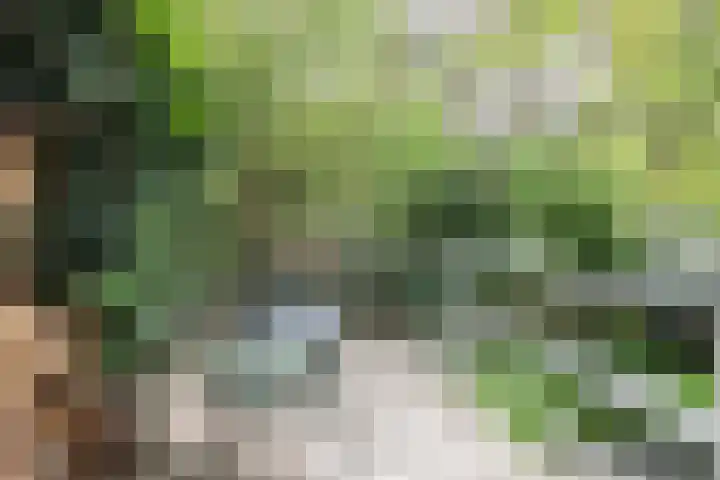 Adelaarsweg 14 Amsterdam thumbnail 8