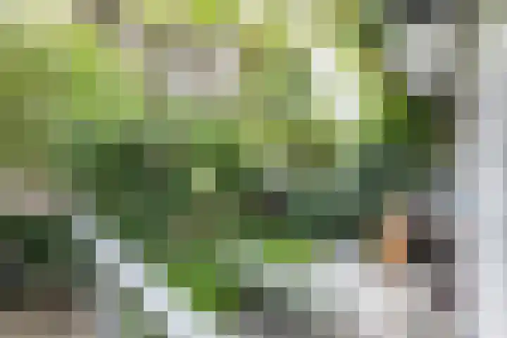 Adelaarsweg 14 Amsterdam thumbnail 9