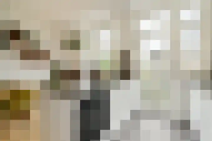 Adelaarsweg 18 Amsterdam thumbnail 10