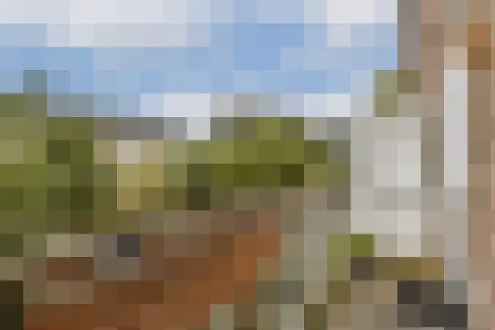 Adelaarsweg 18 Amsterdam thumbnail 11